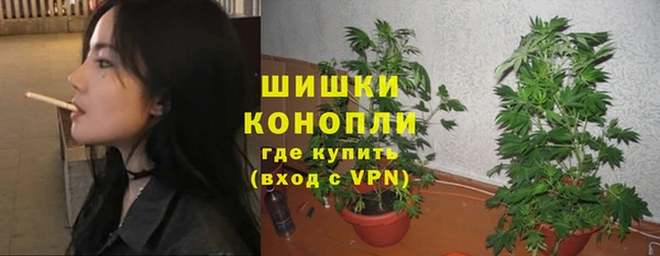 твердый Пестово