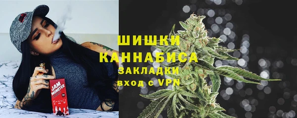 сатива Переславль-Залесский